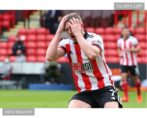 谢菲联英超征程再回首：昔日辉煌与未来希望并存