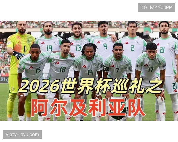 阿尔及利亚冲击2026世界杯:出线前景与阵容预测